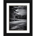 thumbnail image 1 of Carson, Brian 14x18 Black Ornate Wood Framed with Double Matting Museum Art Print Titled - Gullwing 4, 1 of 4