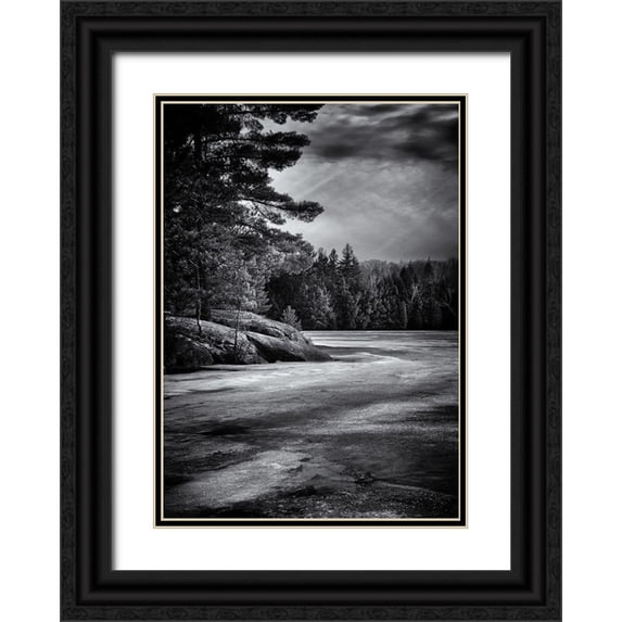 Carson, Brian 14x18 Black Ornate Wood Framed with Double Matting Museum Art Print Titled - Gullwing 4