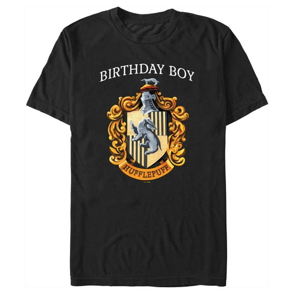 Men's Harry Potter Hufflepuff Birthday Boy  Graphic Tee Black 3X Large