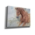 thumbnail image 2 of Epic Graffiti 'Equine Exercise' by Robert Campbell, Canvas Wall Art, 54"x40", 2 of 8