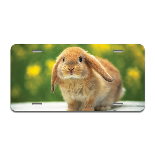 Rabbit Aluminum License Plate License Plate 12" X 6"