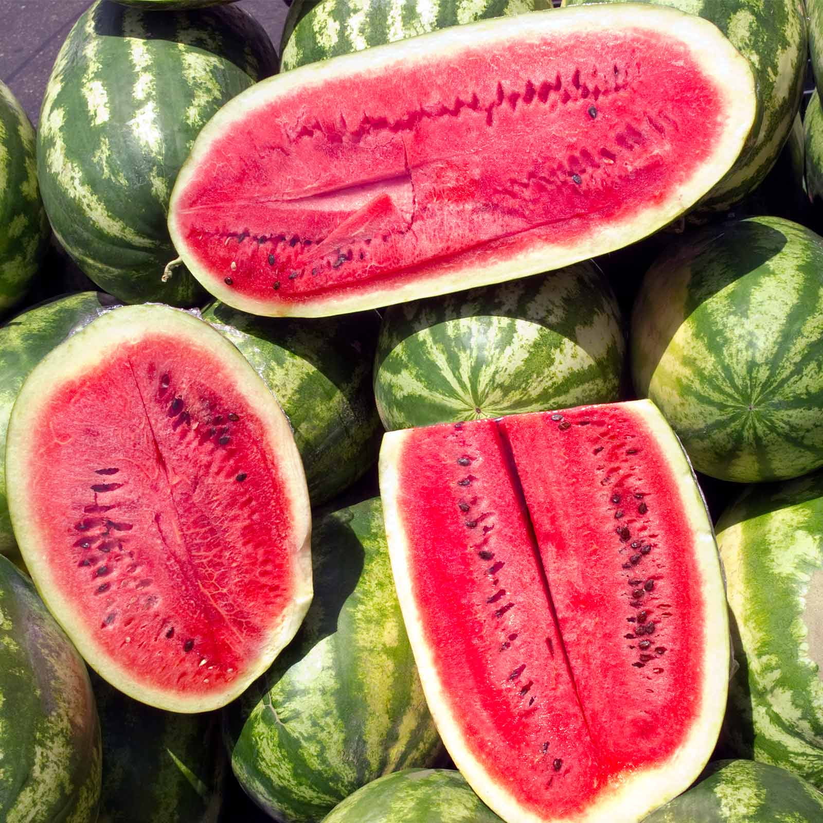 Watermelon Garden Seeds Sugar Beauty Hybrid 100 Seeds NonGMO, Vegetable Gardening Fruit Watermelon Garden Seeds Sugar Beauty Hybrid 100 Seeds NonGMO, Vegetable Gardening Fruit