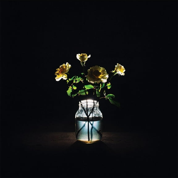 Billy Strings - Renewal - Music & Performance - Vinyl