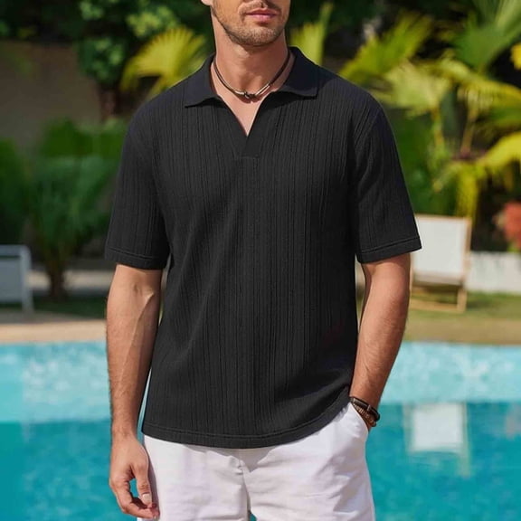 Ceisia Men's Short Sleeve Solid Color Casual Relaxed Fit V-Neck Polo Shirt Fashion Collared Top Gifts for Father Black 2X
