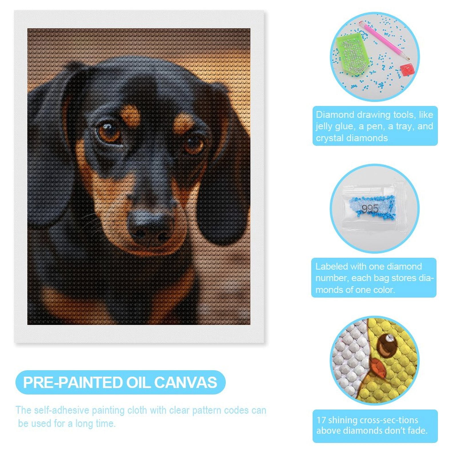 Diamond Art Kits for Adults, Adorable Dachshund Puppy Closeup 5D Diamond Painting Kits for Adults Beginners, DIY Full Drill Diamond Painting, Gem Art and Crafts 12x16