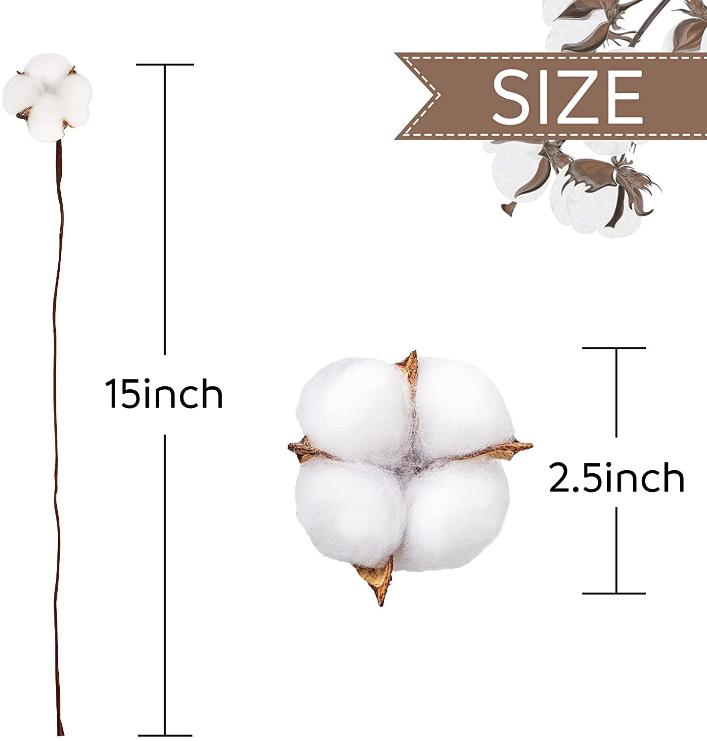 30PCS Natural Dried Cotton Stems 15" Tall, Rustic Cotton Sprigs for Vase Fillers, Floral Arrangements and Farmhouse Fall Decorations and DIY Crafts