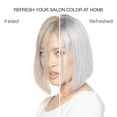 thumbnail image 2 of CELEB Conditioner for Silver Blonde Hair, 8.5 fl oz, 2 of 6