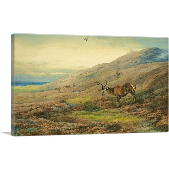 ARTCANVAS Highlands Red Stag Mobbed By Pair Of Peregrines 1917 Canvas Art Print by Archibald Thorburn - Size: 18" x 12" (0.75" Deep)