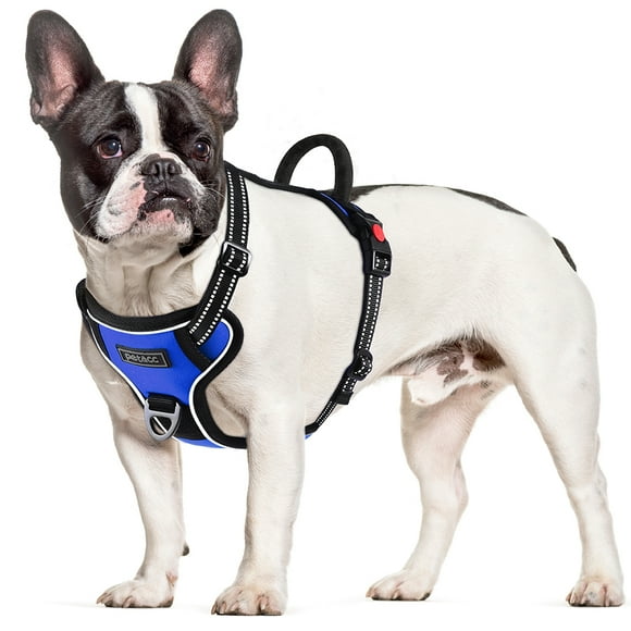 Petacc Dog Harness Adjustable Pet Harness Reflective Outdoor Pet Vest for Walking, Training, Blue, M