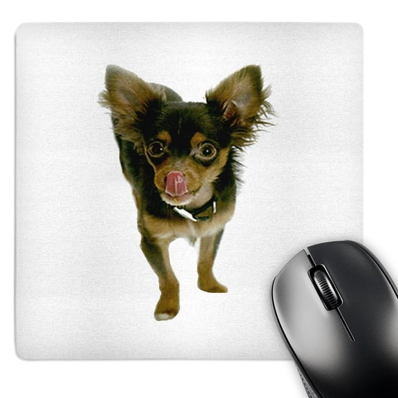 3dRose, Long Hair Chihuahua, MousePad