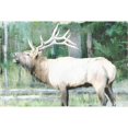 thumbnail image 2 of Great Art Now Linen Pressed Elk by Ann Bailey, Framed Wall Art, 31.5W x 23.5H, 2 of 2
