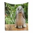 thumbnail image 1 of Bunny Soft Flannel Fleece Blanket, Photo of a Holland Lop Rabbit Standing on a Wooden Board Green Plants at Background, Cozy Plush for Indoor and Outdoor Use, 70" x 90", Multicolor, by Ambesonne, 1 of 6