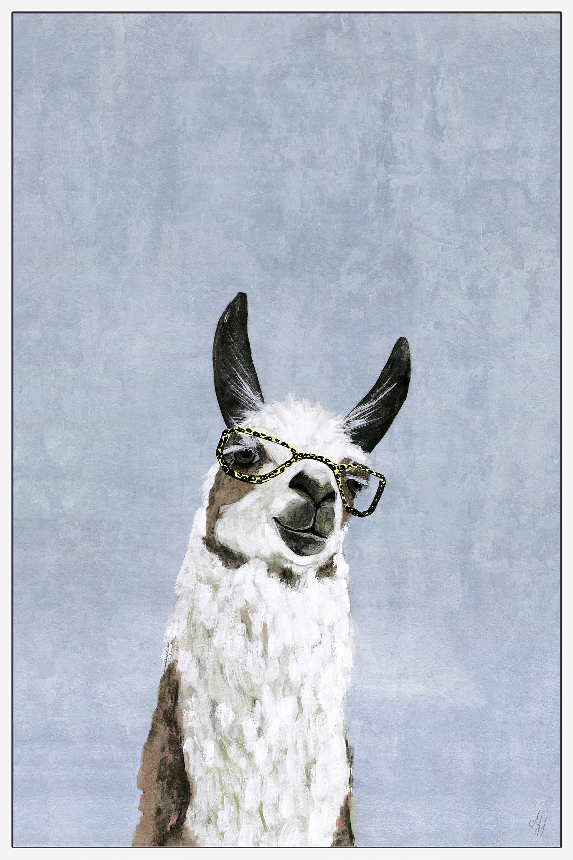 Cool Llama II Floater Framed Painting Print on Canvas