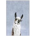 thumbnail image 2 of Cool Llama II Floater Framed Painting Print on Canvas, 2 of 6