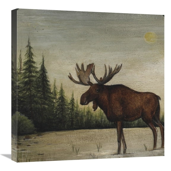 Global Gallery's 'North Woods Moose II' by David Carter Brown Stretched Canvas Wall Art