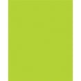 thumbnail image 1 of Neon Coated Poster Board Lime - 25 Sheets, 1 of 1