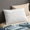 Tempurpedic Cloud Soft And Conforming Pillow