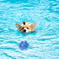 thumbnail image 2 of Pelota para Perros JAMW Chirriante Interactiva TPR Suave para Cachorros Pequeños, 2 of 5