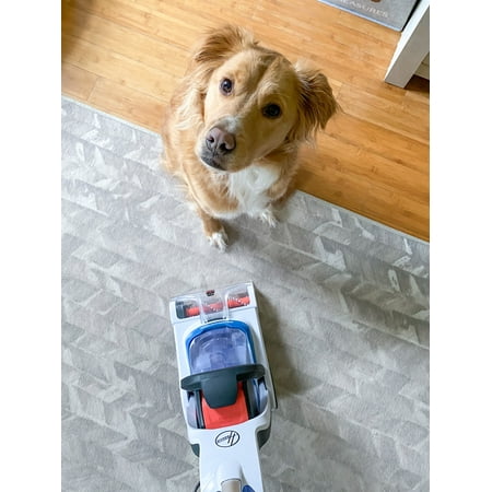 Hoover - PowerDash Corded Upright Deep Cleaner - White/Blue