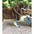 thumbnail image 3 of Mycicy 4ft 6ft 10ft Reflective Dog Leash, Best Nylon Braided Rope Dog Leash Strong Heavy Duty Dog Leash for Small Medium Large Dogs Walking Leash, 3 of 7