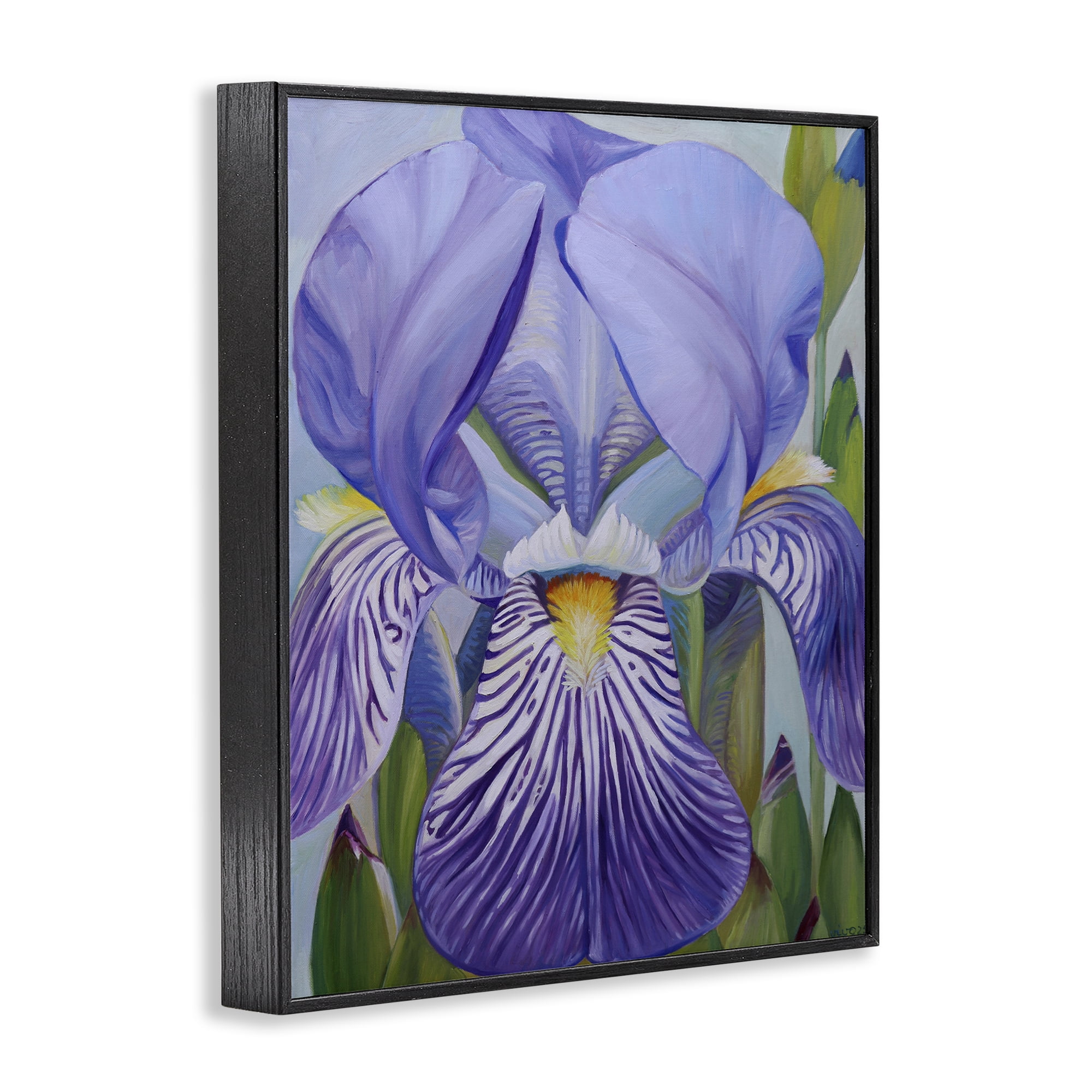 Stupell Industries Blooming Purple Iris Petals Black Framed Giclee Art, design by Violeta Vollmer