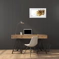 thumbnail image 3 of Abbas, Helen 14x9 White Modern Wood Framed Museum Art Print Titled - Letter Forms I, 3 of 4