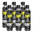 thumbnail image 1 of Insecticida Raid para matar avispas y avispas, 500 ml (paquete de 6), 1 of 9