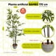 thumbnail image 2 of Planta artificial decorativa Artego con maceta Bambú grande de 170cm para hogar, 2 of 8