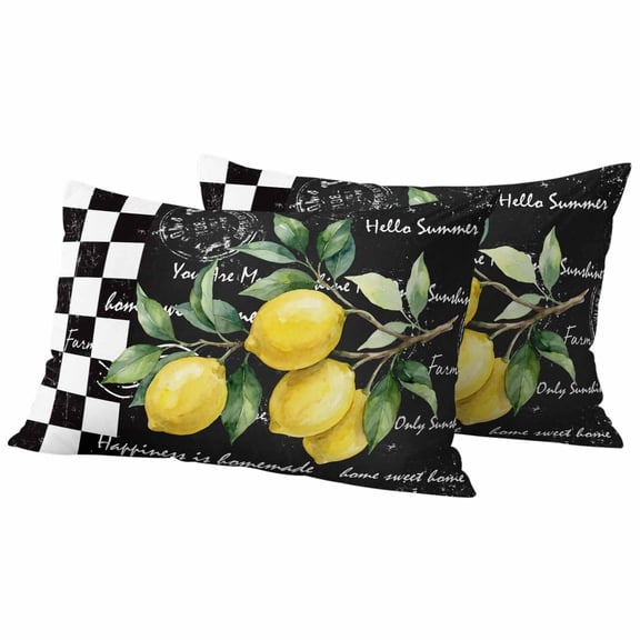 Hello Summer Lemons Outdoor Pillow Covers Pack of 2 Farmhouses Fruits Black White Checkered Waterproof Throw Pillow Covers Decorative Cushion Cases for Patio Garden Tent Balcony Couch 20x12 inch