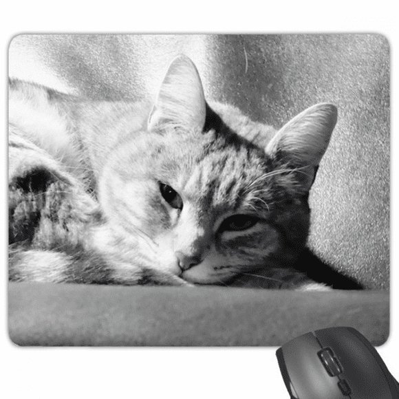 Animal Pure Gray Cat Photograph Picture Mouse Pad Non-Slip Rubber Mousepad Game Office