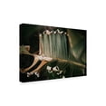 thumbnail image 3 of Trademark Fine Art Tim Mossholder Palm Decay Canvas Wall Art, 3 of 4