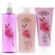 thumbnail image 2 of Signature Japanese Cherry Blossom Set by Body Fantasies for Women - 3 Pc Set 8oz Fragrance Body Spray, 12oz Moisturizing Body Wash, 7oz Fragrance Moisturizing Lotion, 2 of 2