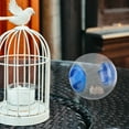 thumbnail image 4 of Transparent Pet Hamster Exercise Ball Mini Trot Plastic Toys (Blue), 4 of 7