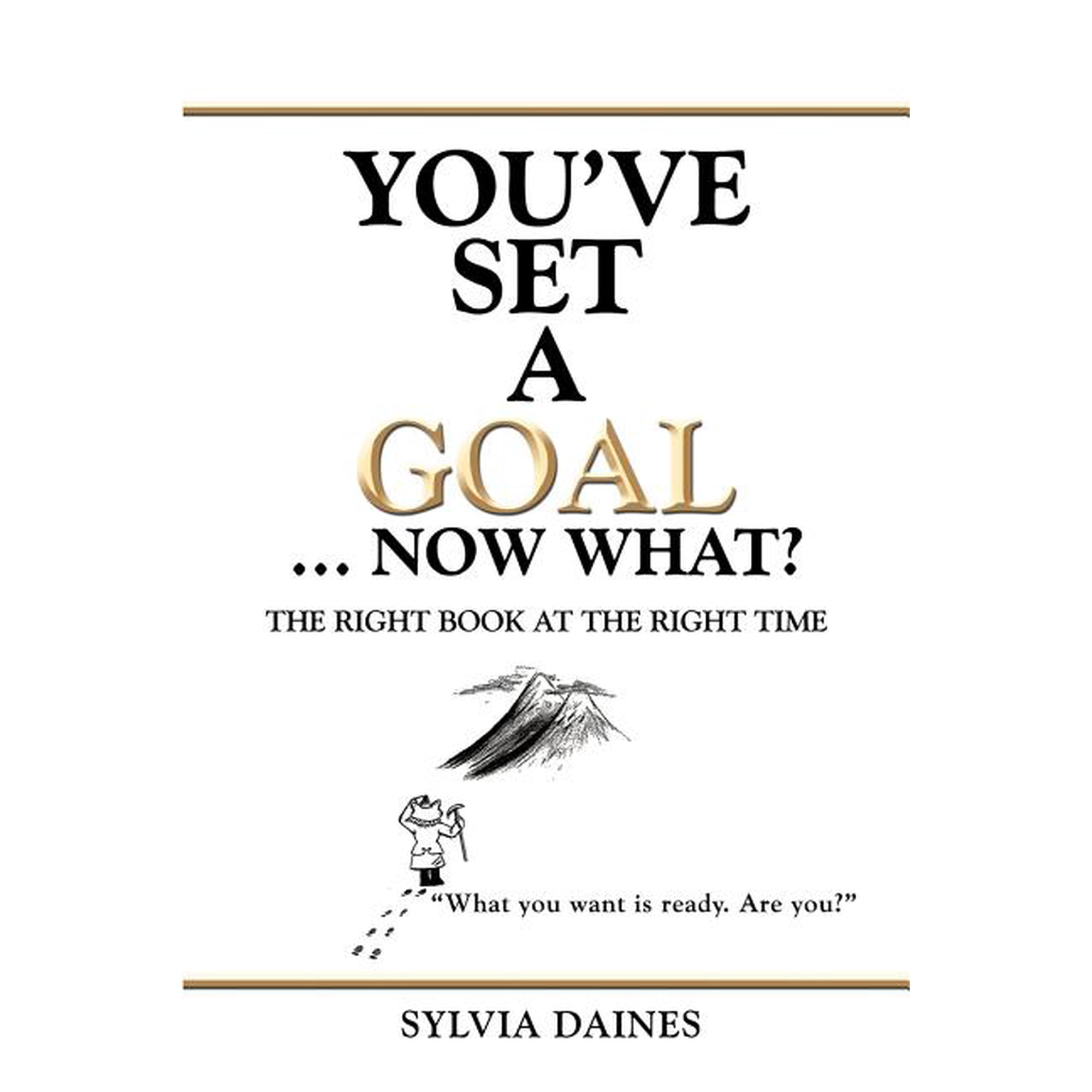 You ve Set a Goal ... Now What?: The Right Book at the Right Time (Paperback)