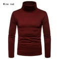 thumbnail image 1 of Chandail à Manches Longues pour Homme, Col Roulé Montant, Extensible, Ajusté, Basique, 1 of 4