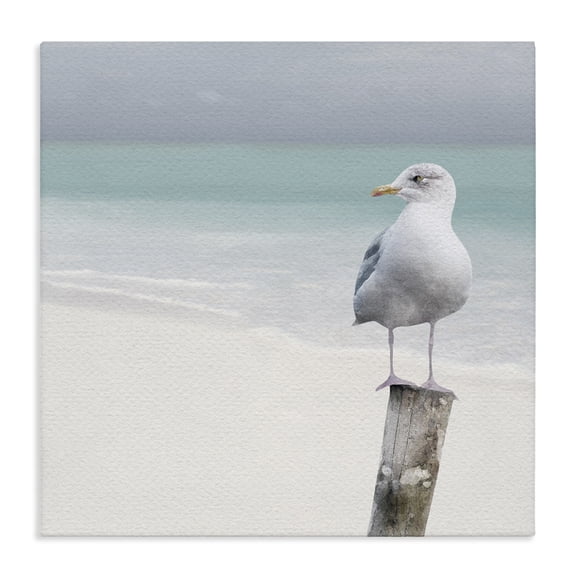 Stupell Industries Modern Seagull Perched by Shore Canvas Art, 24 x 24, by LSR Design Studio