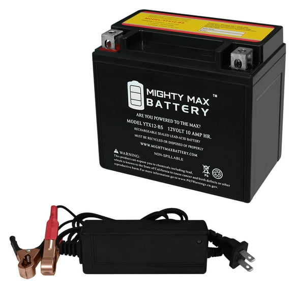 Honda Recon Battery