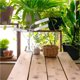 thumbnail image 4 of Injueey Grow Light Full 3-Head Ajustable Planta Luces Lámpara Llenar Jardín Profesional Regulable Flores Interior Útil Iluminación y accesorios, 4 of 6