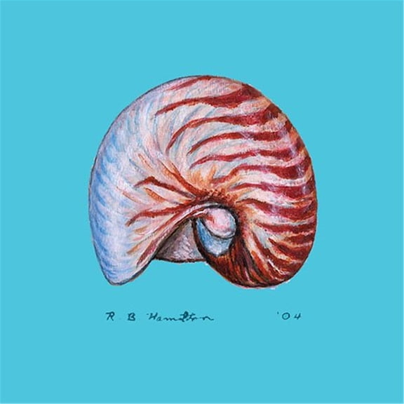 Nautilus Coaster Set of 4