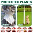 thumbnail image 5 of 8 Pcs Tree Trunk Protector- 2 Size Tree Wraps to Protect Bark- Plastic Spiral Tree Guard- Tree Bark Protector Tube Wraps to Protect Saplings Plants from Deer Rabbit Cats Rodents Mowers, 5 of 7