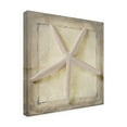 thumbnail image 4 of LightBoxJournal 'Starfish' Canvas Art, 4 of 4