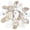 4" - 5", variant on 20 PCS Oyster Shells 4"-5" Large Oyster Shells Natural Seashells for Crafts Beach Theme Party Fish Tank and Vase Filler Home Decoration