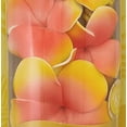 thumbnail image 2 of California Scents Scented Necklace in Tropical Colada: The Perfect Lei for Your Car - Hanging Flower Air Freshener, 2 of 5