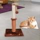 thumbnail image 5 of Árbol para gatos, condominio, torre, muebles, cama, rascador, casa para mascotas, actividad café, 5 of 7