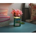 thumbnail image 5 of Disney Princess Home Collection 11-Ounce Scented Tea Tin Candle | Tiana, 5 of 7