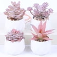 thumbnail image 3 of Succulent Artificial Plants,Faux Succulents in Pots,Small Fake Pink Plants for Office,Table,Desk,Bathroom,Bedroom,Aesthetic Room Shelves Decor,Cute Fake Succulents in 4 White Ceramic Pots, 3 of 7