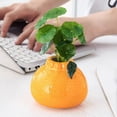 thumbnail image 4 of Ceramic Hydroponic Vase for Home and Design Container Ideal for Floral Arrangements and Modern Style, 4 of 6