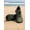 Army Green, variant on Quick Dry Anti-Slip Water Shoes for Men Women, Ideal for Beach, Yoga, Fitness & Outdoor Use