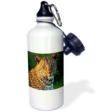 

3dRose Male leopard full-grown cub portrait Maasai Mara Kenya. - Water Bottle 21-ounce