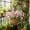 Purple PP, variant on WWV Artificial Flowers for Decor Artificial Rubber Flower Soft Real Touch Faux Wedding Home Party Bouquet Lifelike Blossom Long Lasting Decorative Bedroom Office Living Room Pink